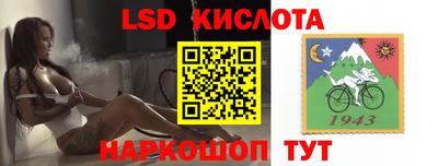 стафф Донской