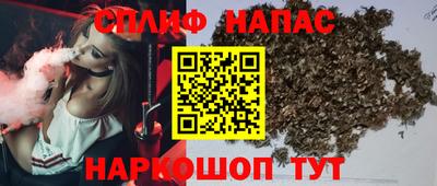 стафф Донской