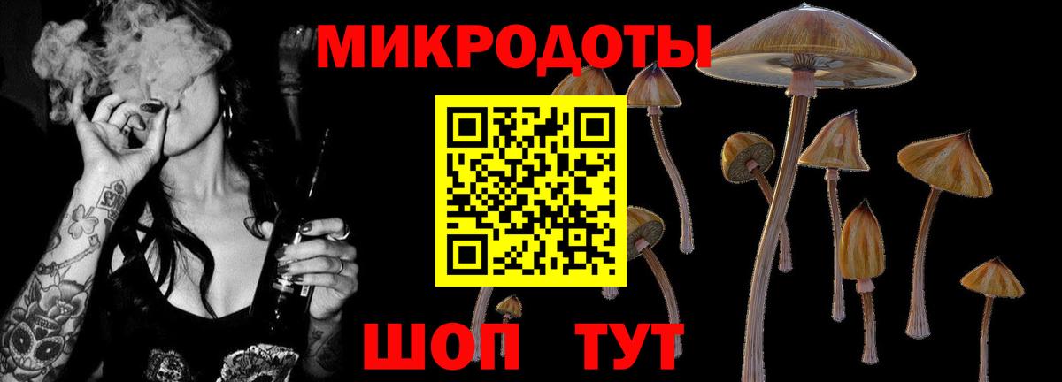 Ливны  Псилоцибиновые грибы Cubensis  Галлюциногенные грибы Psilocybine cubensis  Вход с VPN 